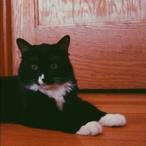 Meet your Posher, Miguel